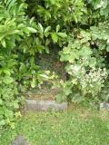 image of grave number 165876